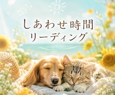 7月限定メニュー!!ペットとお話します イメージ1