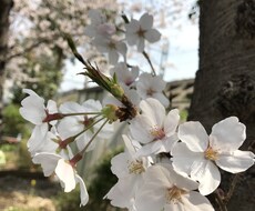 何でもぉ話聞きます。子育て、恋愛、愚痴、聞きます イメージ1