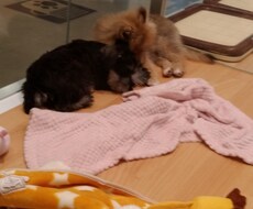 落ちつくまで愚痴や話聞きます イメージ1
