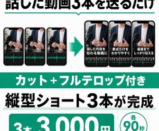 話した動画3本から縦型ショート3本を作ります イメージ1
