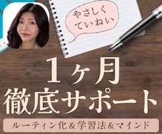 1ヶ月間あなたの英語パートナーになります 30分レッスン×12回+コーチング4回＋完全カスタマイズ