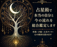 占星術で本当の自分と今の流れを総合鑑定します イメージ1