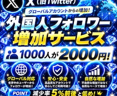 Xのフォロワーを1000人増やします イメージ1
