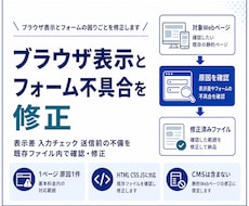 Web表示とフォーム不具合を修正します イメージ1