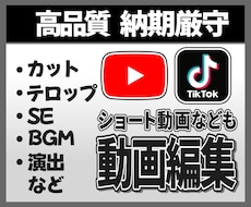 SNS・YouTubeなど幅広く動画編集します イメージ1