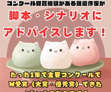 現役脚本家が脚本・シナリオの添削します 主要脚本コンクールW受賞経験の脚本家によるシナリオコンサル