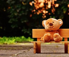 ニュージーランドの幼児教育についてお答えします イメージ1