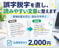 誤字脱字を直し、読みやすい文章に整えます イメージ1