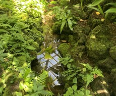 タロット占いでそのお悩みを癒します イメージ1