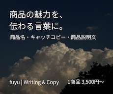ECサイトの商品紹介文・説明文を作成します イメージ1