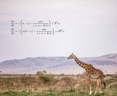 数理生物学について丁寧に解説します 生物系だけど高度な数学を使う新しい分野を開拓したい方を応援