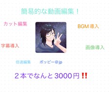 簡易的な動画編集を最安値でお届けします イメージ1