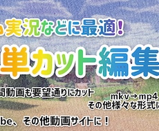 長時間動画も要望通りにカット編集します イメージ1