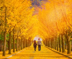 なんでも気軽に相談を聞きます イメージ1