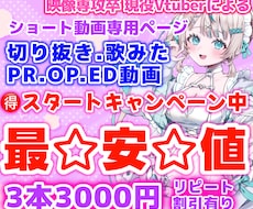 最安値！バズる動画作ります イメージ1