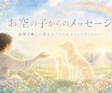 お空に帰った子とアニマルコミュニケーションします イメージ1