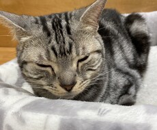 なんでもお話、雑談聞きます イメージ1