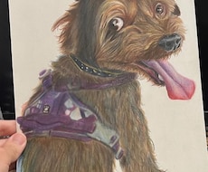 愛犬や愛猫、動物のイラストを描きます イメージ1