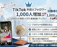TikTokフォロワー+1000増加します イメージ1