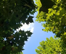 明るく楽しく、前向きになる為にお話をさせて頂きます イメージ1