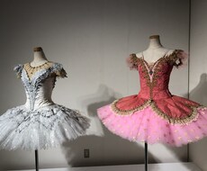 プレバレエ、部分練習、相談、等対応します イメージ1