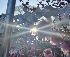あなたの心のモヤモヤを晴らします イメージ1