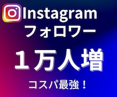 格安☆インスタのフォロワー1週間で1万人増やします インスタグラムの1週間程度宣伝・運営で+1万人増やします