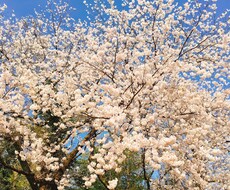 愚痴や悩みを聞きます！あなたの心を軽くします イメージ1