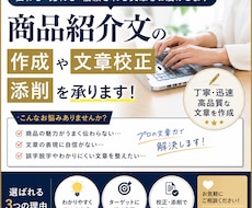 商品紹介・提案文章書きます イメージ1