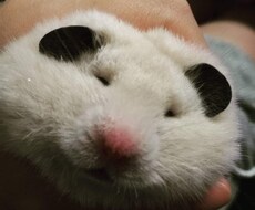 様々なお話を聞きます イメージ1