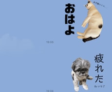 ペット・お子様のLINEスタンプを制作します イメージ1