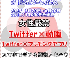 初月2000フォロワー達成のマネタイズ方法教えます 女性厳禁のTwitter×動画アフィリエイトの極秘ノウハウ
