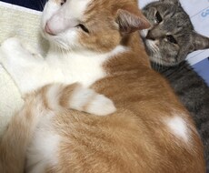 聞きます イメージ1