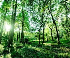 ツラいこと、悲しいことなどお話聞きます 生きてきて、ツラい苦しいと思うことが多々あると思います。