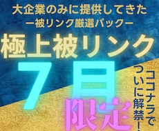 2026年7月限定で大企業と同じ被リンク貼ります なぜ成功している大企業と御社で結果に差が付くの？答えは○○！