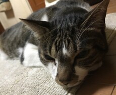 心理学的交渉術で相手にYESを言わせます イメージ1