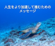 いまの貴方へ必要なメッセージをお届けします イメージ1
