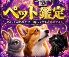 龍神の依り代となりペット様の魂の声を降ろします 白龍神の依り代霊視でペット様の声を届け、愛の龍脈を癒します