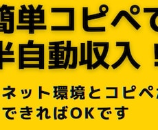 最強のコピペマニュアル販売します イメージ1