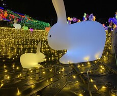 NGなし！何でもお話聞きます イメージ1