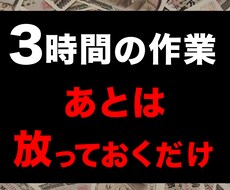 出品後は放っておいてOK！自動で売る方法を教えます イメージ1