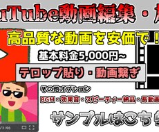 YouTubeの動画編集します イメージ1