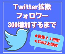 Twitterフォロワー３００人以上まで拡散します 【１０日間保証】１０００人は３０００円！！
