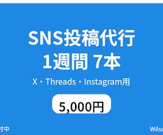 SNS投稿代行 1週間分 7本を作ります イメージ1