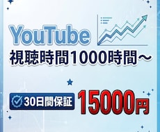 プロが視聴時間を安全に1000時間以上増やします イメージ1