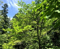 寂しい方、悩みがある方、お話聞きます イメージ1