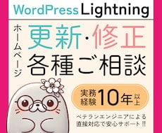 行き詰まったライトニングの修正カスタマイズ承ります 広告ひと筋14年の現役デザイナーがあなたの思いを汲みとります