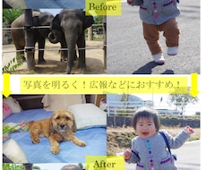 写真データを明るく加工します イメージ1