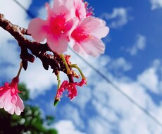 お友達感覚でお悩み愚痴聞きます イメージ1