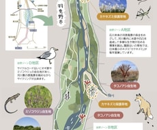 自然教室や森林学習向けのパンフレットを作成します かわいいイラストで楽しく学ぼう！